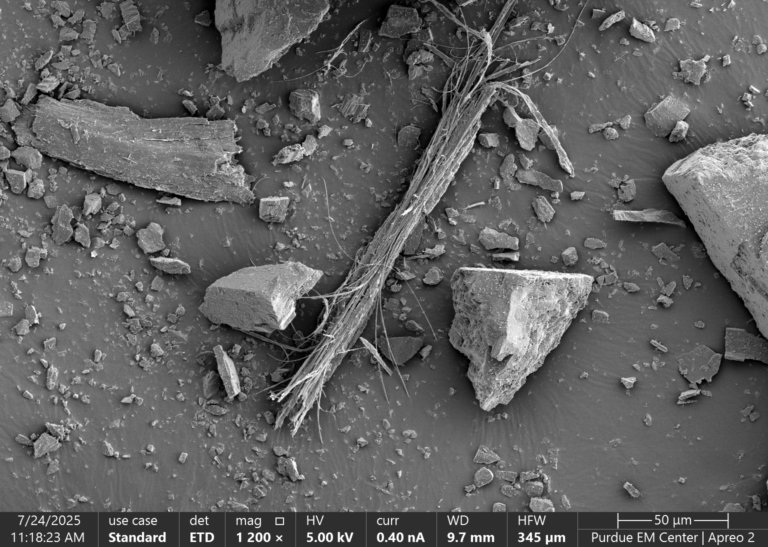 Additional Plastic Fibers Analysis
